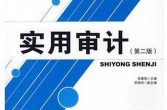 21世纪全国高职高专会计专业规划教材·实用审计
