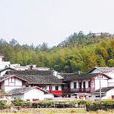 五龙村(福建省上杭县古田镇五龙村)