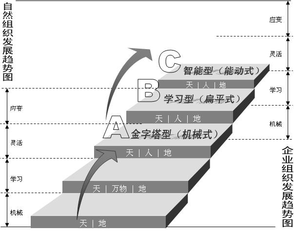 C管理模式 C管理模式