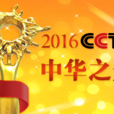 2016CCTV中华之光年度人物评选