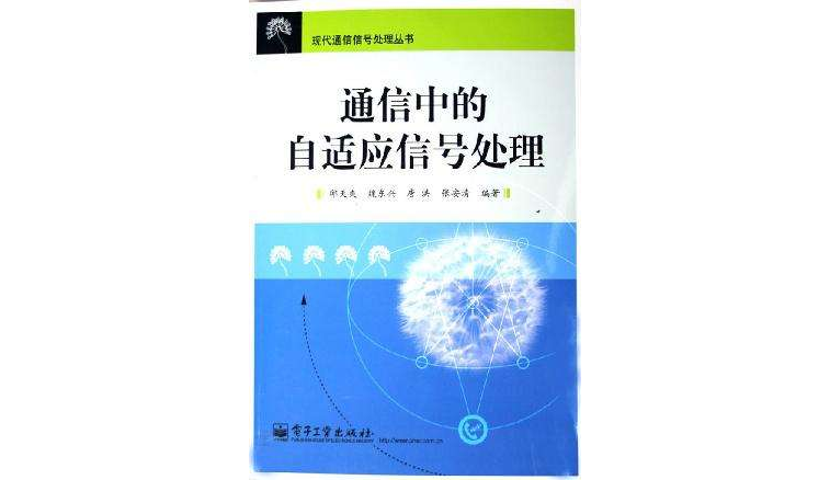 通信中的自适应信号处理