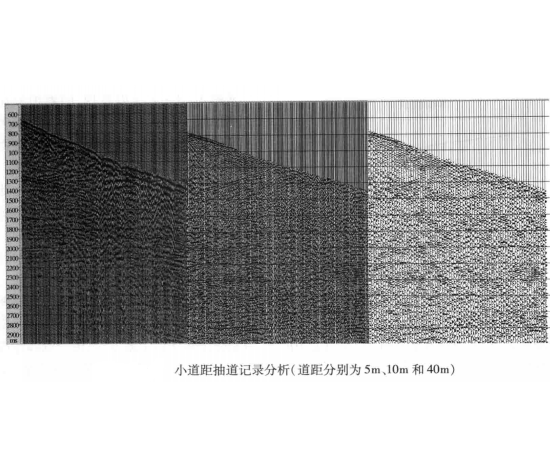 干扰波
