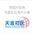 护生实习日记