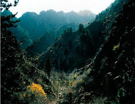 金华九峰山 金华九峰山