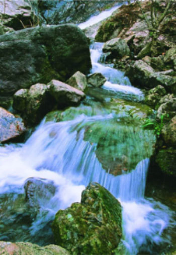 金华九峰山 金华九峰山