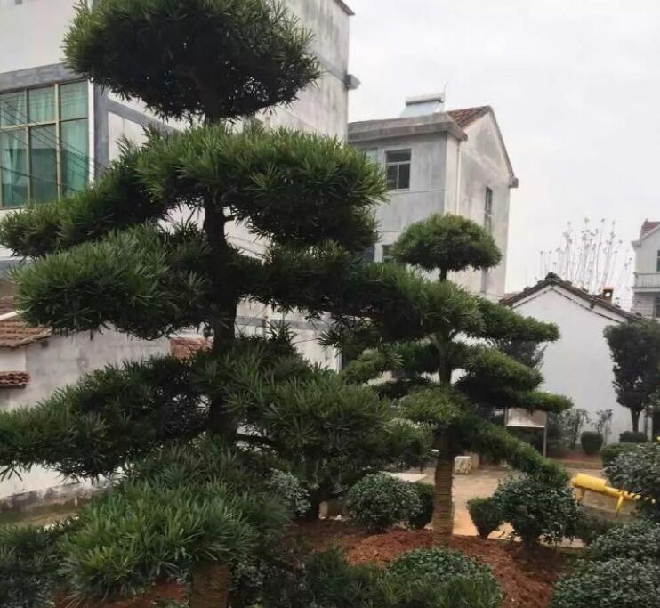 岩下村(浙江省金华市汤溪镇岩下村)