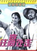 夏力薪