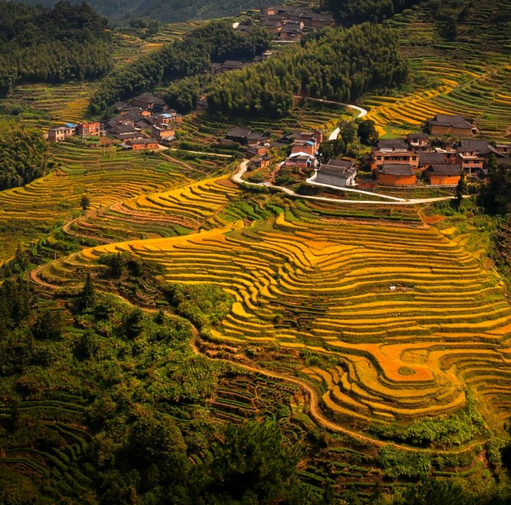 马洋村 马洋村