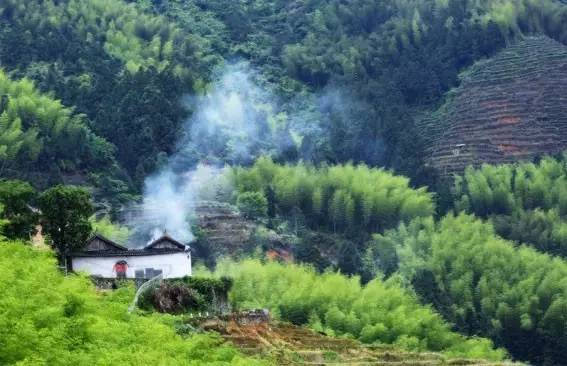 马洋村 马洋村