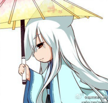 普洱 普洱