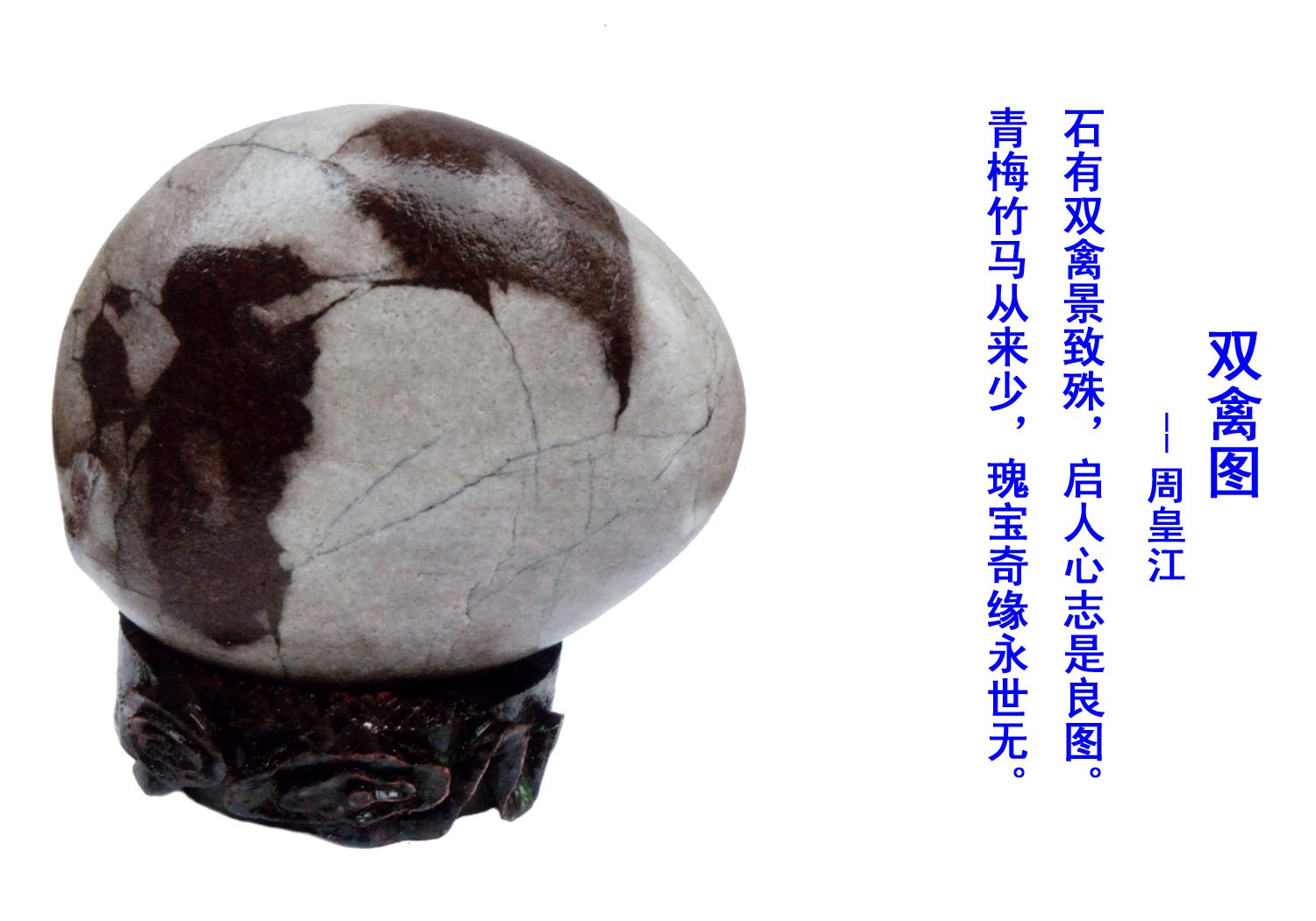 双禽图 双禽图