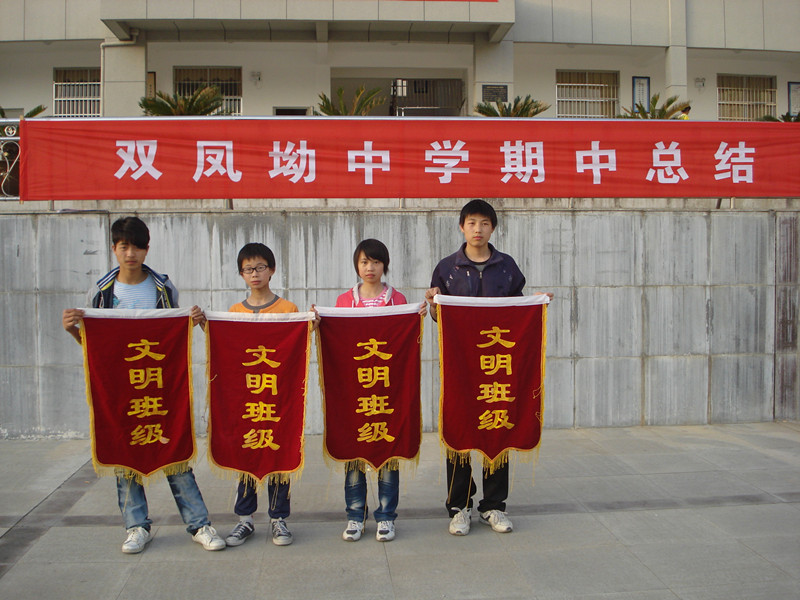 双凤坳中学 双凤坳中学