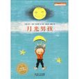 月光男孩(2009年湖北美术出版社出版图书)