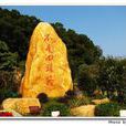 不走回头路(典故)
