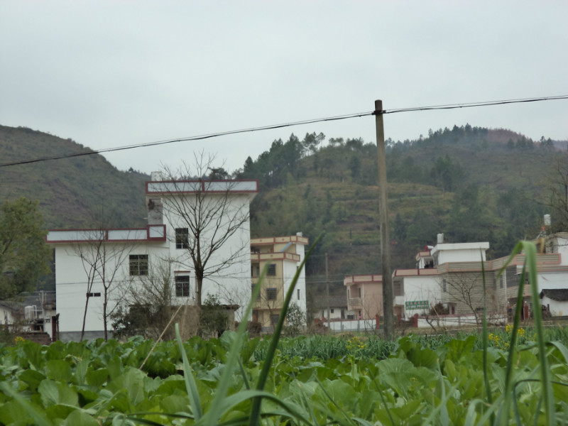 中洽村 中洽村