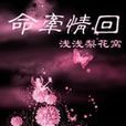 命牵情回