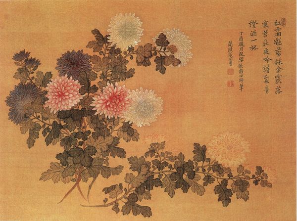 清张同曾菊花图