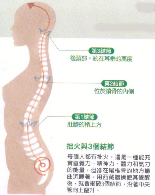 背骨