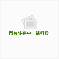 双井桥西——百子湾家园东站 双井桥西——百子湾家园东站