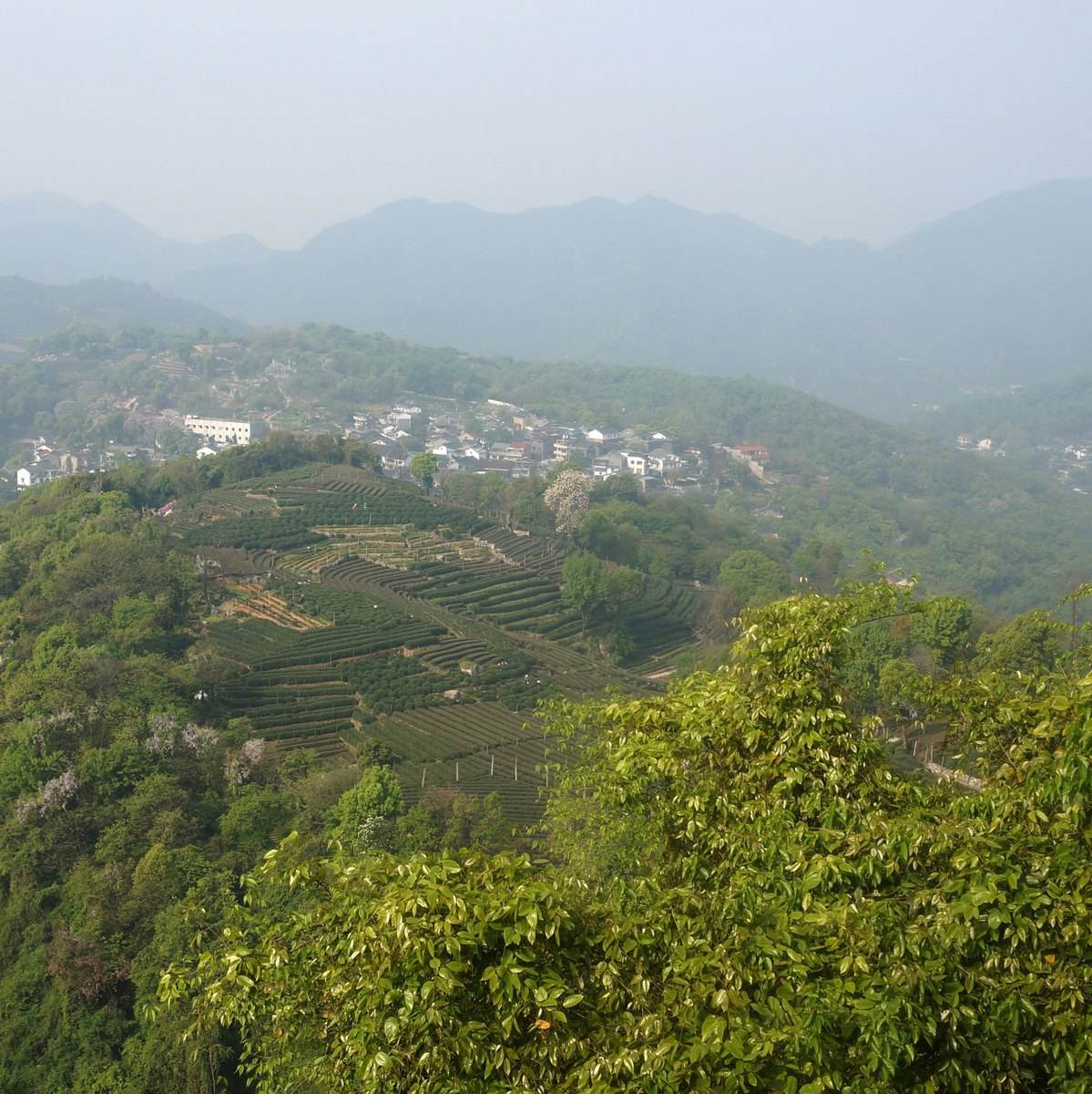 南高峰