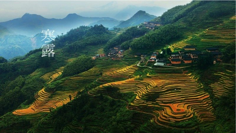 马洋村 马洋村