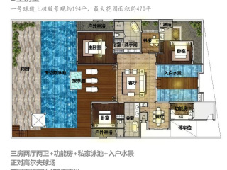 深圳全球候鸟度假地 深圳全球候鸟度假地