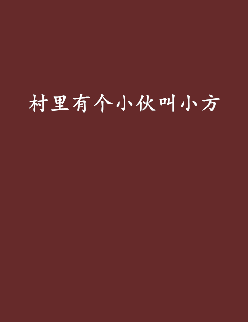 村里有个小伙叫小方