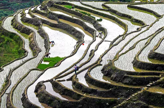 马洋村 马洋村