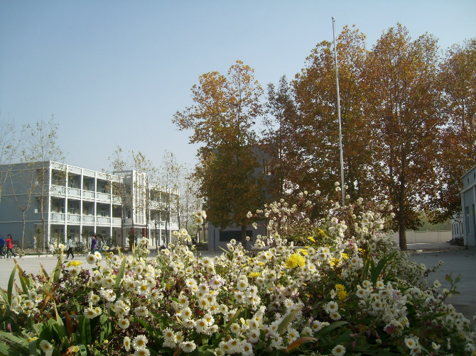 五河县弥陀寺初级中学 五河县弥陀寺初级中学