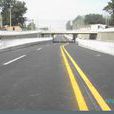 龙潭路道路工程