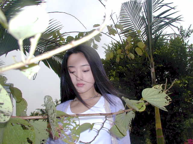 难道你还不明白 难道你还不明白