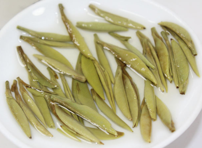太姥银针茶 太姥银针茶