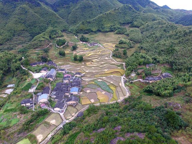 吴场村
