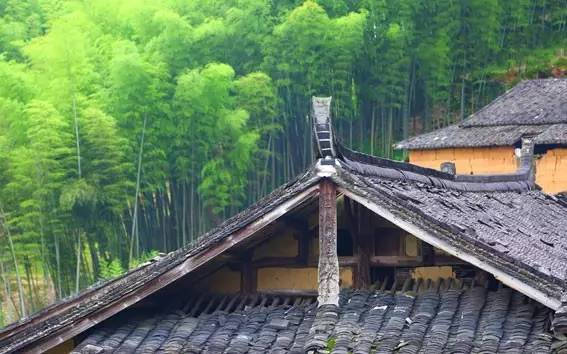 马洋村 马洋村