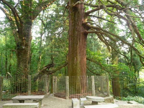 庐山(中华十大名山之一)