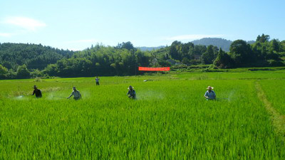 永丰乡(安徽省黄山市黄山区永丰乡) 永丰乡(安徽省黄山市黄山区永丰乡)