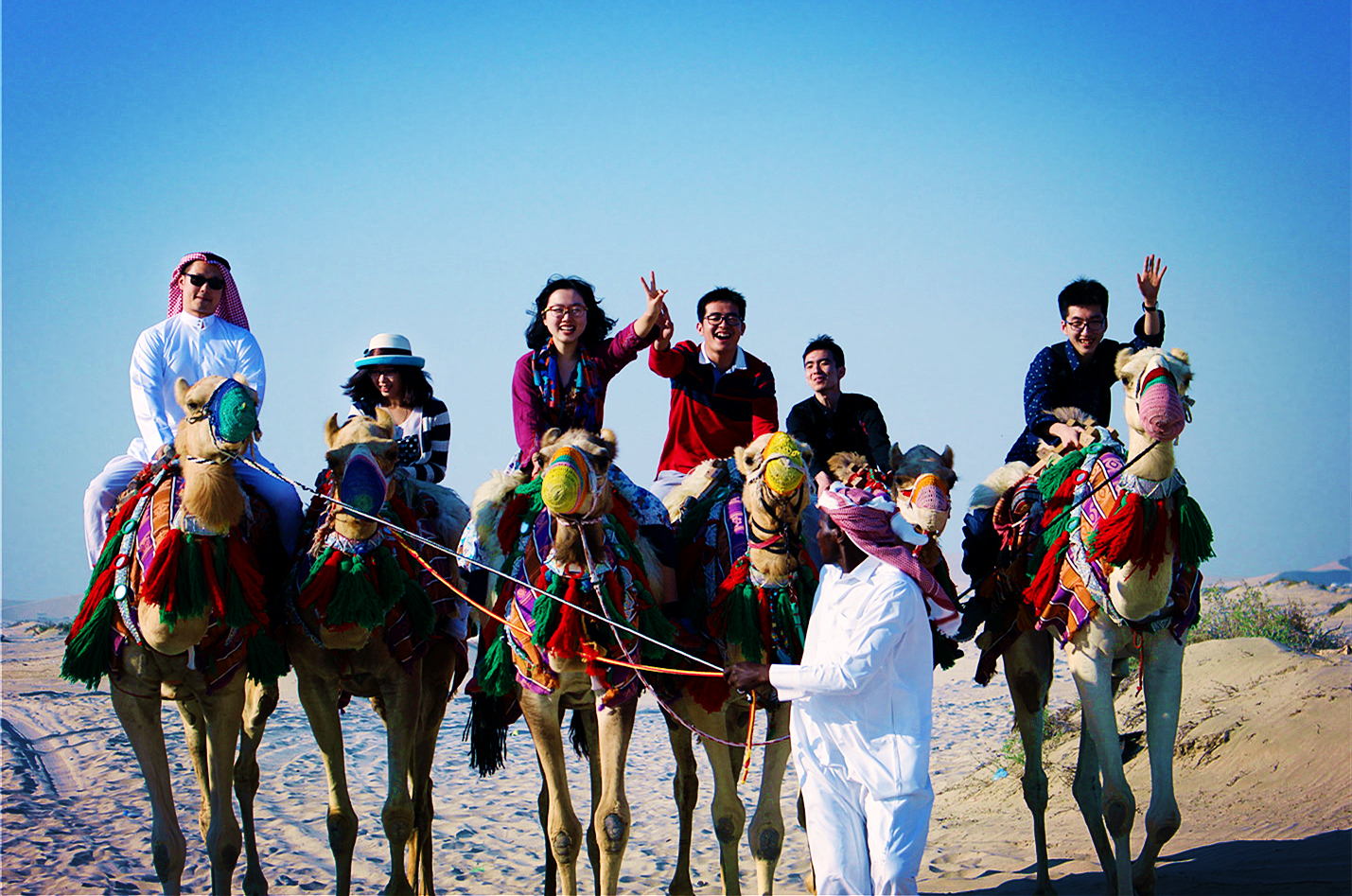 CAMEL在卡达 CAMEL在卡达