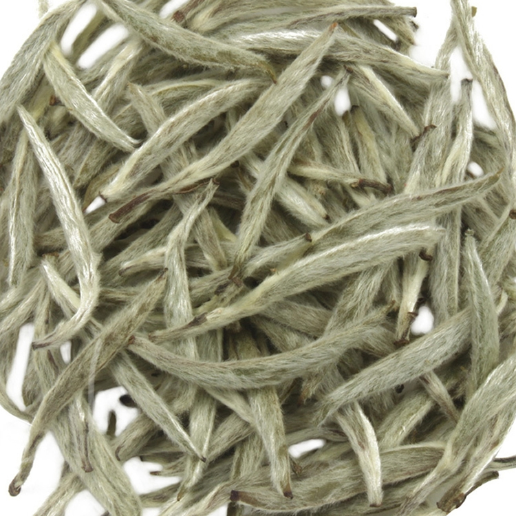 太姥银针茶 太姥银针茶