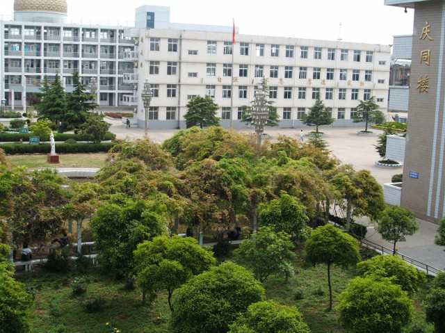 五河一中 五河一中