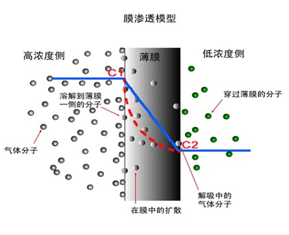 气体渗透原理图 气体渗透原理图
