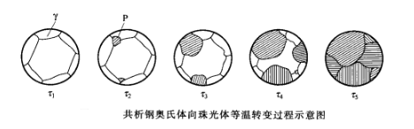 共析钢奥氏体向珠光体等温转变过程示意图 共析钢奥氏体向珠光体等温转变过程示意图