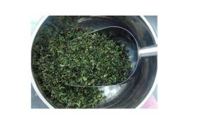 南山寿眉茶 南山寿眉茶
