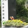 守墓人(看守、管理坟茔墓地的人)