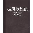 被风吹过的地方