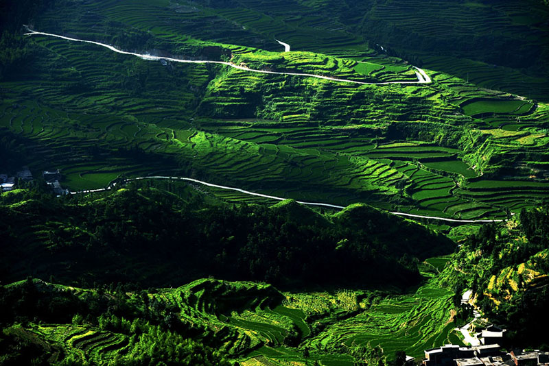 天堂山梯田 天堂山梯田