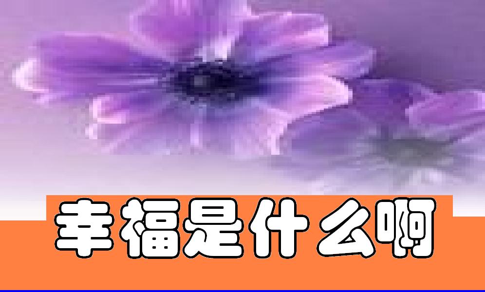 幸福是什幺啊