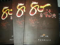 《80后诗典》封面 《80后诗典》封面