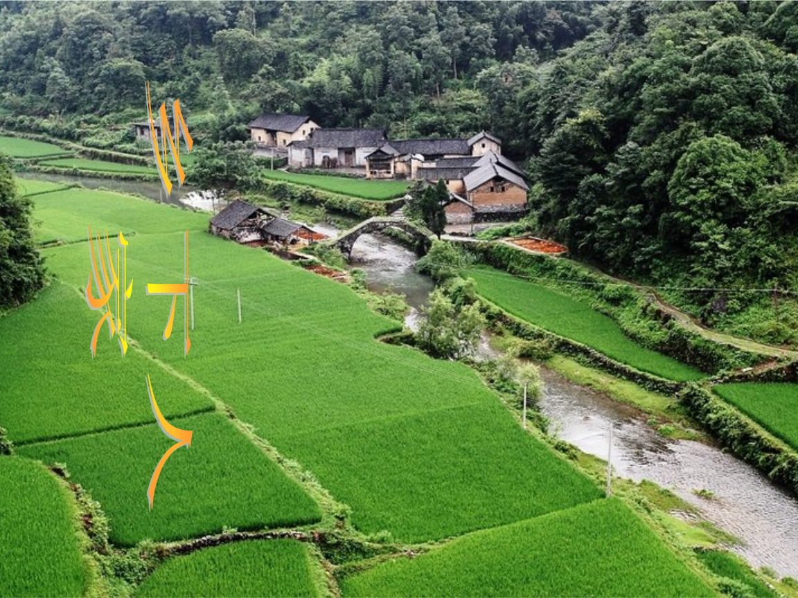长教村(江西兴国县均村乡下辖村)
