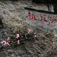 庐山桃花源(庐山文化旅游景点之一)