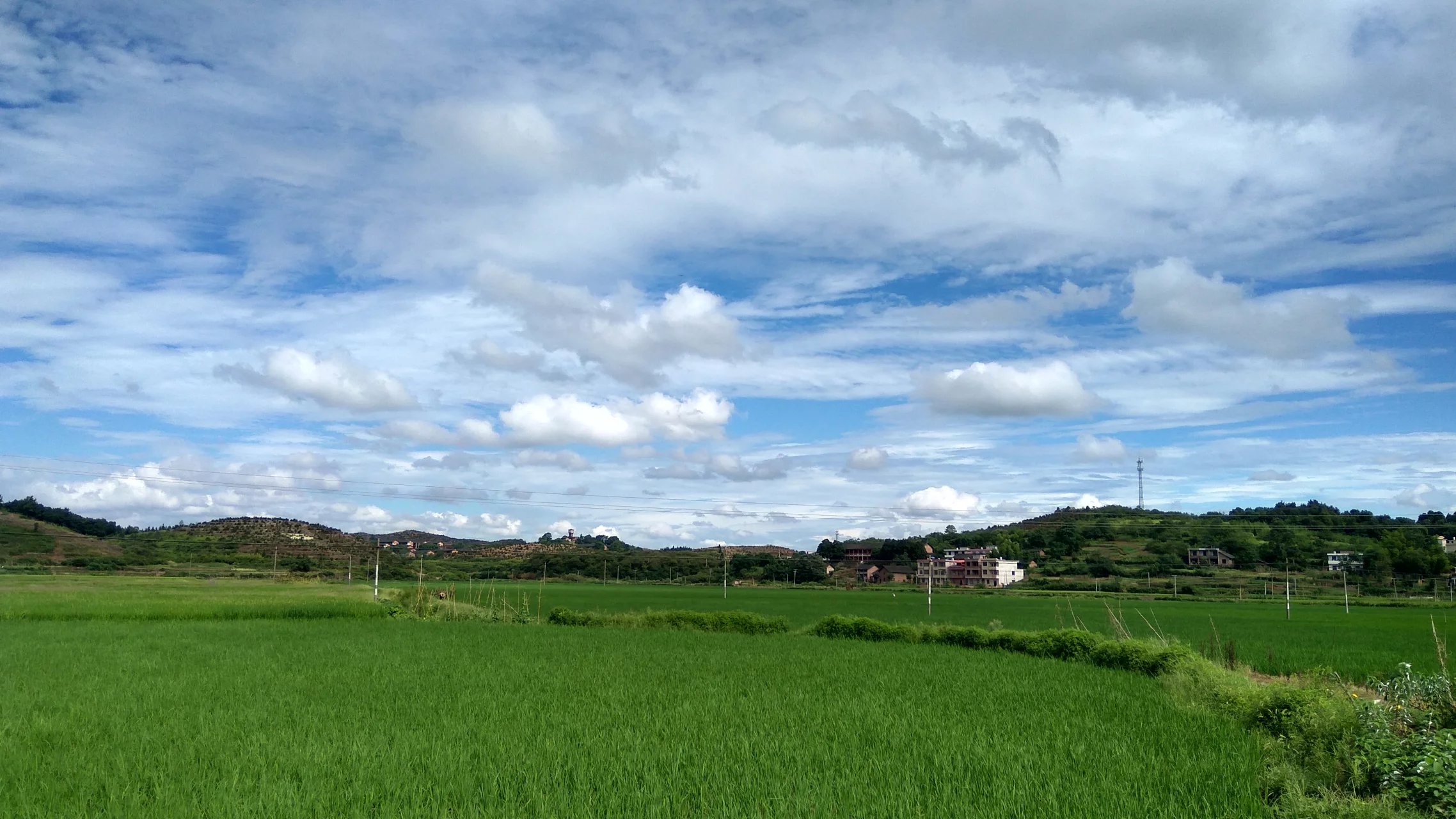 湖边村 湖边村
